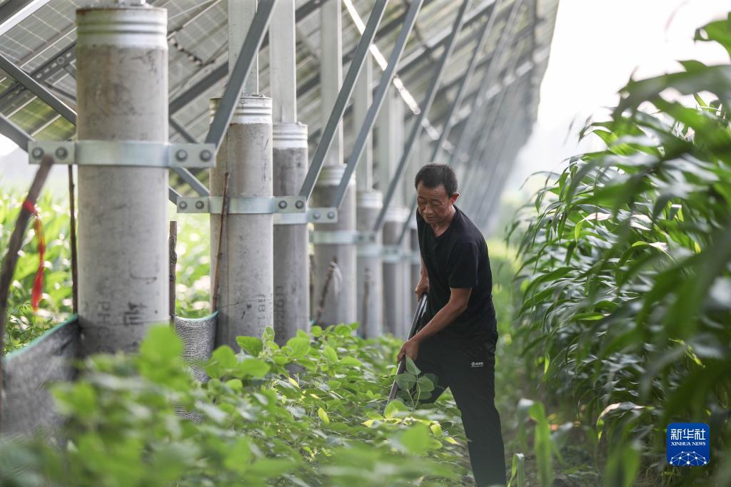抢庄牛牛怎么玩